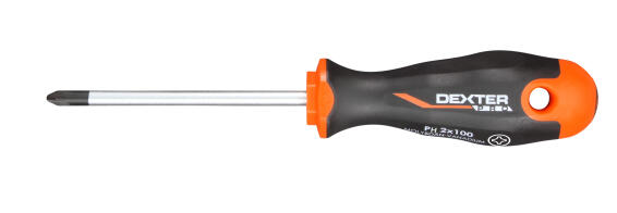 Screwdriver DEXTER PRO PH2x100mm