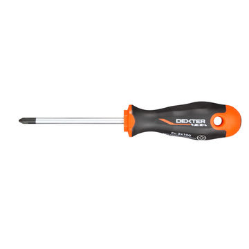 Screwdriver DEXTER PRO PH2x100mm