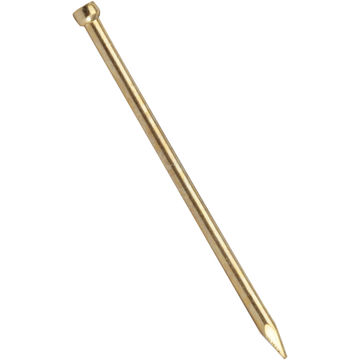 Lost head nail brass plated 2.0x45mm 40pc standers