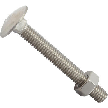 Carraige bolt and nut stainless steel 6.0x50mm 4pc standers