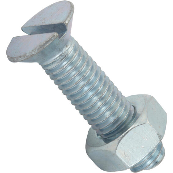 Machine screws and nuts countersunk head zink plated 10.0x40mm 2pc standers