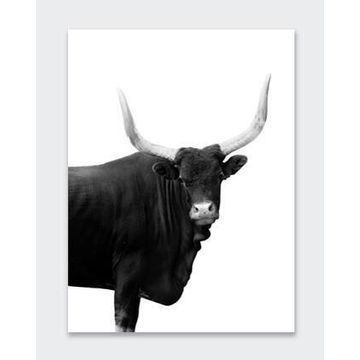 POSTER BULL 2 30X40CM
