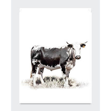 POSTER NGUNI 2 50X70