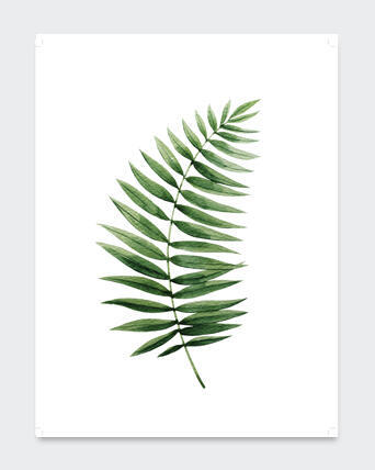 POSTER LEAF  30X40CM