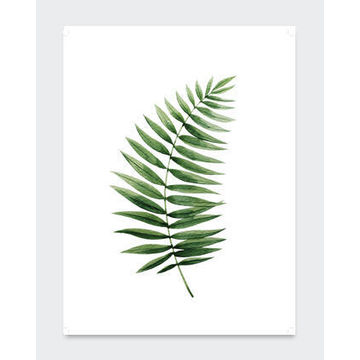 POSTER LEAF  30X40CM
