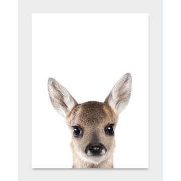 POSTER FOREST ANIMAL 2 21X29.7CM