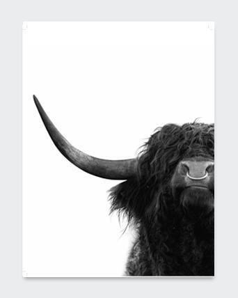 POSTER BULL1