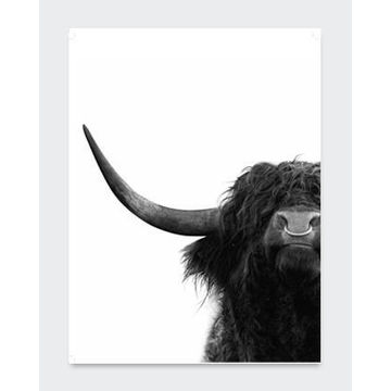 POSTER BULL1