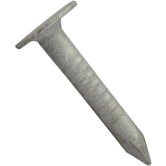 Shingle nail zinc plated 3.0x16mm 300pc box standers