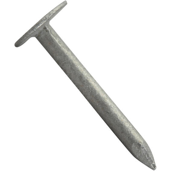 Large head nail plain 3.0x16mm 300pc box standers
