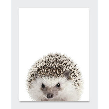 POSTER FOREST ANIMAL 3 21X29.7CM