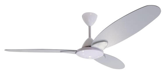 ceiling fan with light senorita 3blade grey