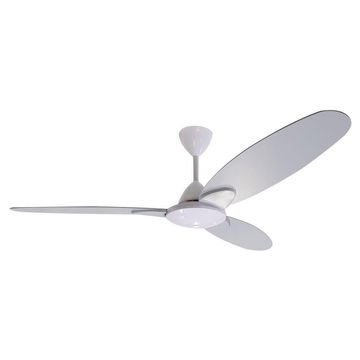 ceiling fan with light senorita 3blade grey
