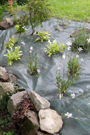Weed Guard, Woven Plastic, NORTENE, 1.5mx100m