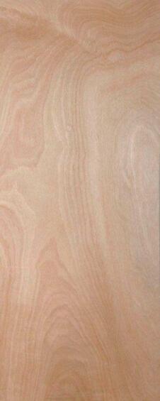 Interior Door Hollow Core Plain Commercial Veneer w813xh2032mm