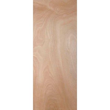 Interior Door Hollow Core Plain Commercial Veneer w813xh2032mm