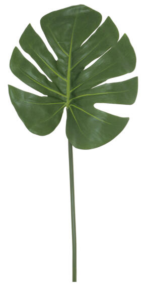 DELICIOUS MONSTER LEAF 82CM