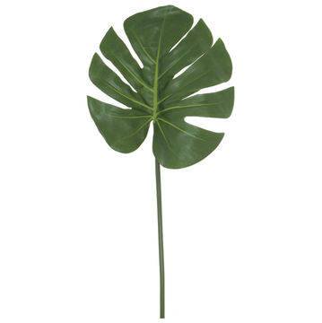 DELICIOUS MONSTER LEAF 82CM