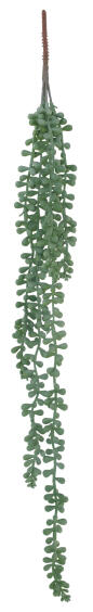 Artificial Pearl Succulent String