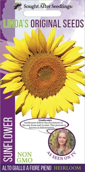 Seed, Sunflower Alto Giallo A Fiore Pieno, FRANCHI SEMENTI