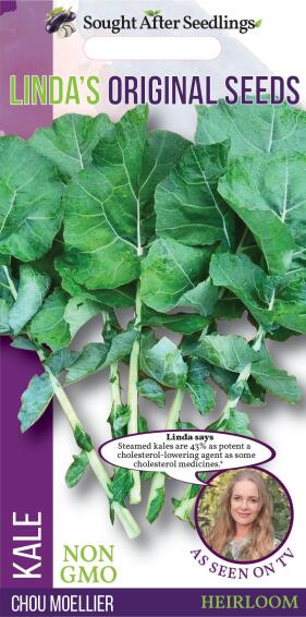 Linda's original seed  kale chou moellier