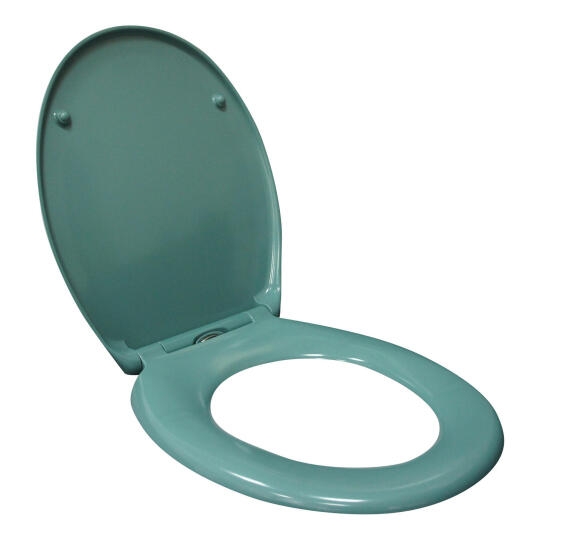 Toilet seat SENSEA easy laguna green LEROY MERLIN South Africa