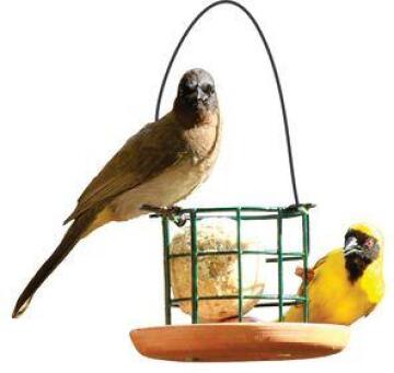 Bird Feeder, Suet Ball Holder Terracotta, ELAINES BIRDING