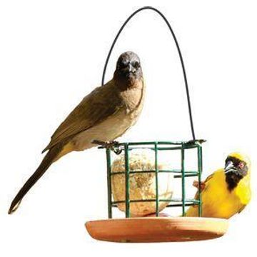 Elaines Birding Bird Feeder Terracotta W11cmxL11cmxH8.5cm