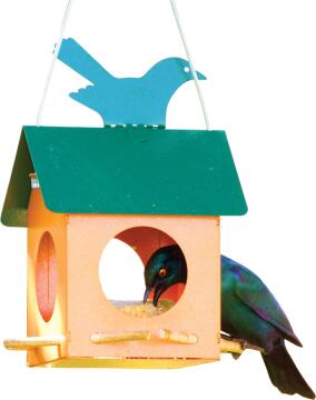 Bird Feeder, Birdie Suet Box, ELAINES BIRDING
