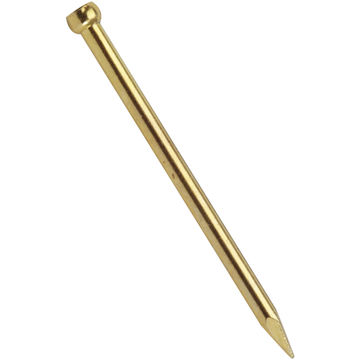 Lost head nail brass plated 2.0x35mm 60pc standers