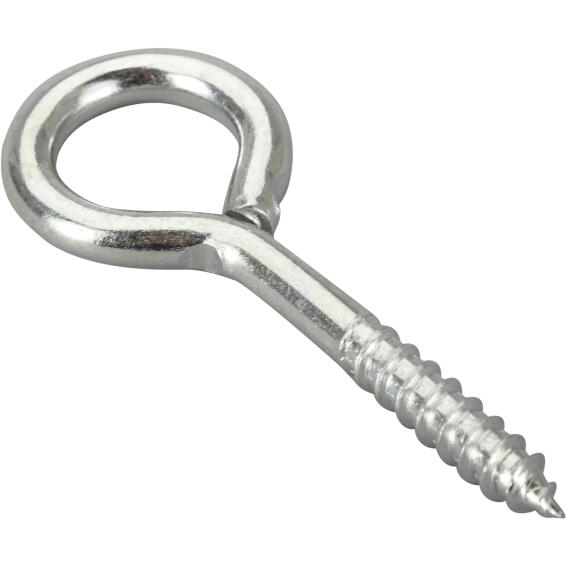 Eye screws zinc plated steel 6.0x50mm 2pc standers