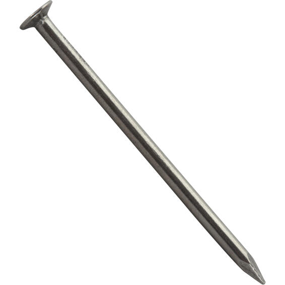 Large head nail plain 2.7x60mm 280pc box standers
