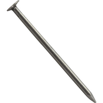 Large head nail plain 2.4x50mm 320pc box standers