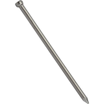 Lost head nails polished steel 2.2x55mm 40pc standers