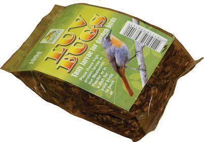 Bird Food, Larvae, ELAINES BIRDING, 100g