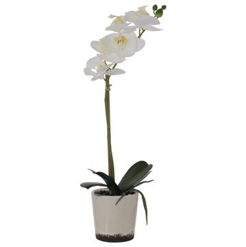 ORCHID REAL TOUCH WHITE 43CM