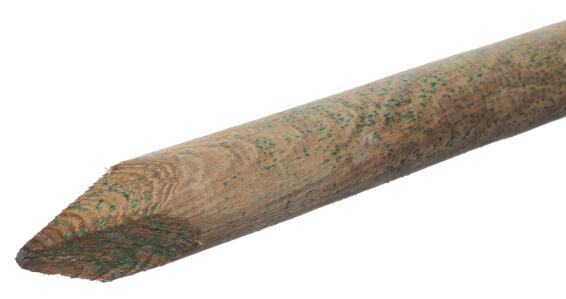 Post Wooden Sharpened Stake 60 mm X 600 mm