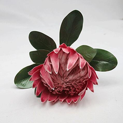 KING PROTEA PINK 75CM