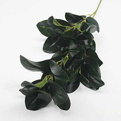 RUSCUS LEAF 65CM