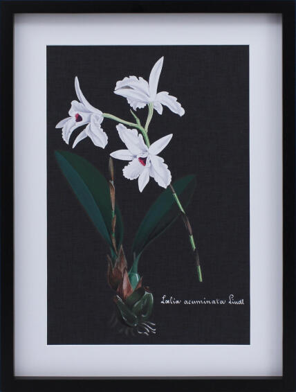 WALL ART ORCHID ON SLATE 3 425X525CM