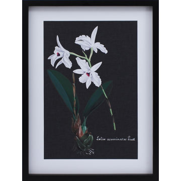WALL ART ORCHID ON SLATE 3 425X525CM