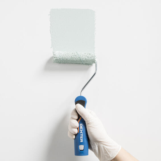 Paint rollers DEXTER universal mini 60MM