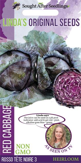 Seed, Red Cabbage Rosso Tete Noire 3, FRANCHI SEMENTI