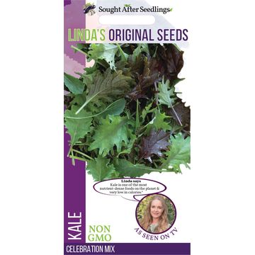 Seed, Kale Celebration, FRANCHI SEMENTI