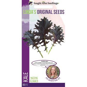 Seed, Kale Kx-1, FRANCHI SEMENTI