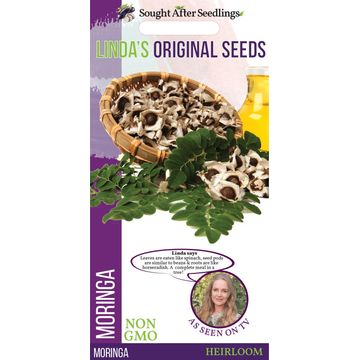 Seed, Moringa, FRANCHI SEMENTI