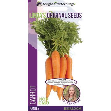 Seed, Carrot Nantes, FRANCHI SEMENTI