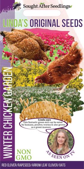 Seed, Winter Chicken Garden, FRANCHI SEMENTI