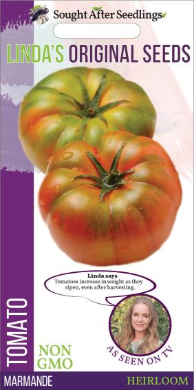 Seed, Tomato Marmande, FRANCHI SEMENTI