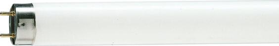 Tube TL-D 18W/54-765 1SL/25